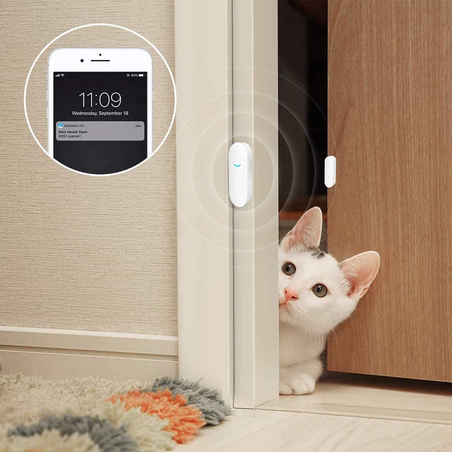 WiFi Door and Window Sensors. Tuya, Smart-life sync and notification app. No Hub Required. Compatible with Alexa, Google Home (6-pack)