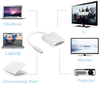 TYPE C (Male) to VGA (Female) 15cm Adapter