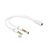 3.5mm AUX socket to dual 3.5mm AUX plug. Separate your microphone and audio. White