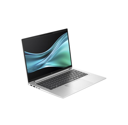 HP EliteBook 660 G11 Notebook