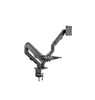 VISION Monitor Dual Desk Arm Mount. Fits displays 17-27" with VESA sizes 75 x 75 or 100 x 100. Black